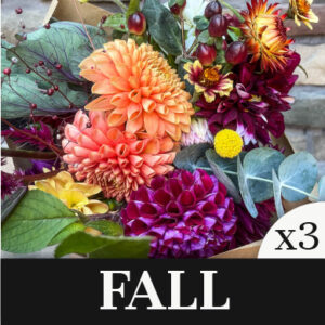 A beautiful fall bouquet