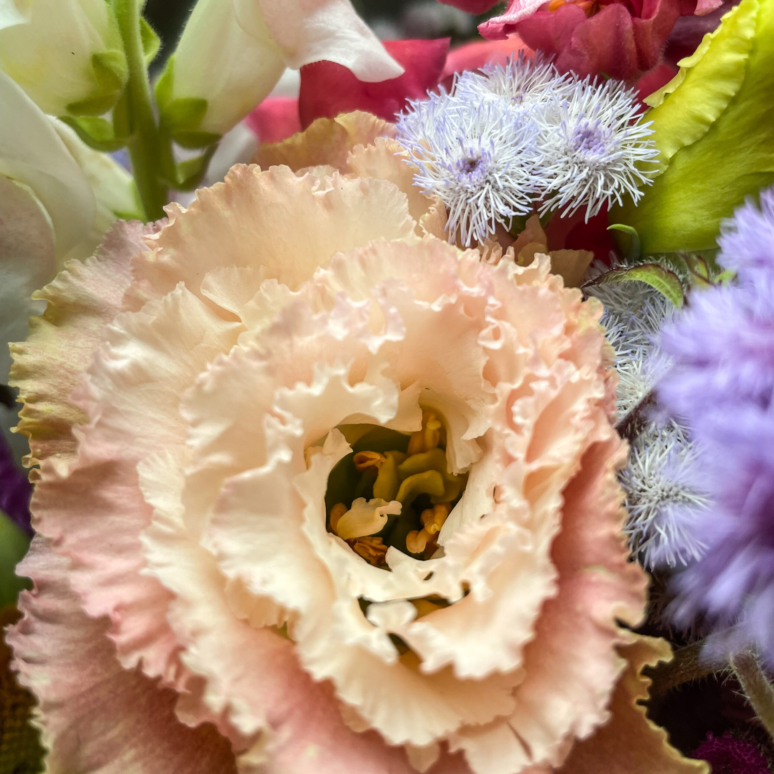 A beautiful bouquet of flowers