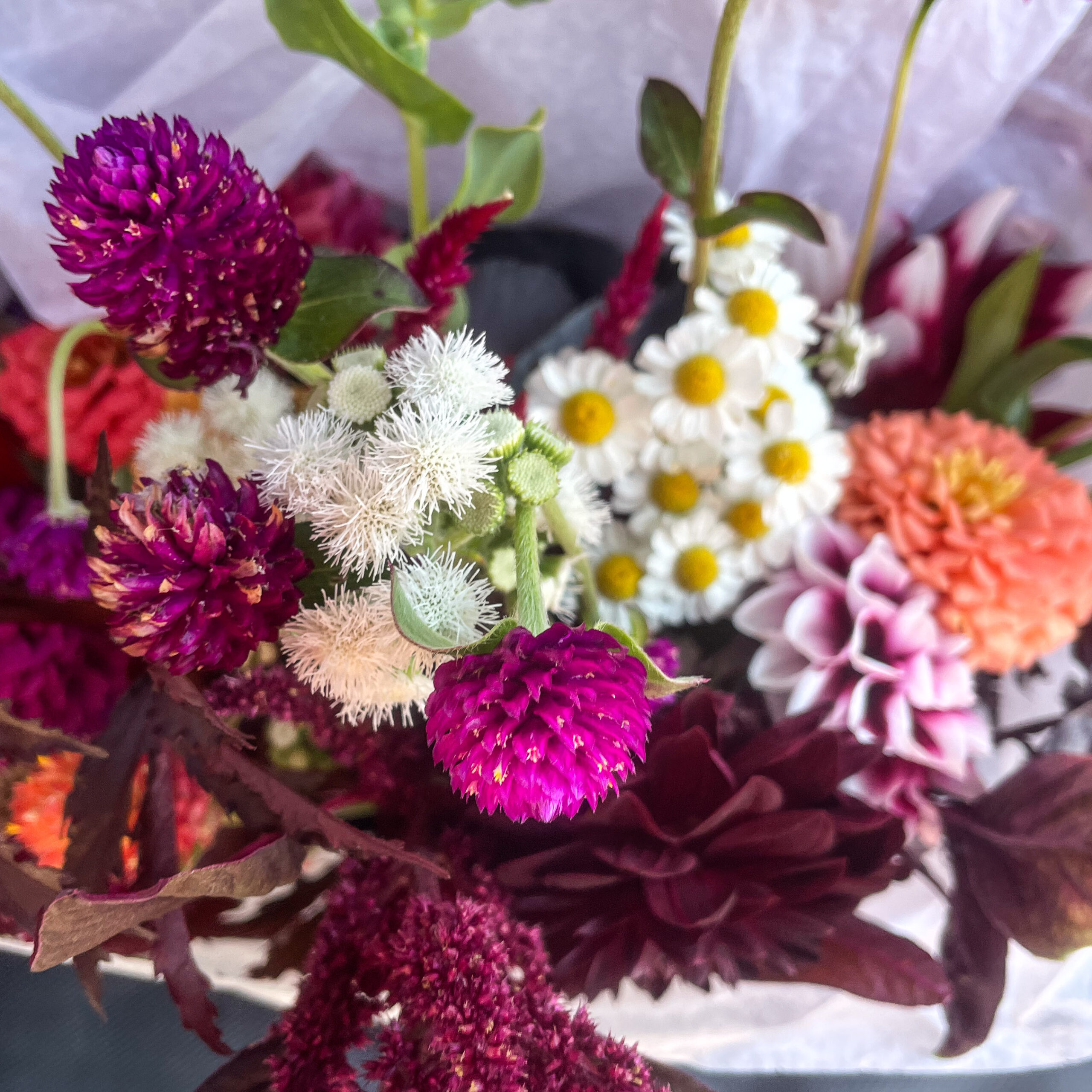 A beautiful bouquet of flowers