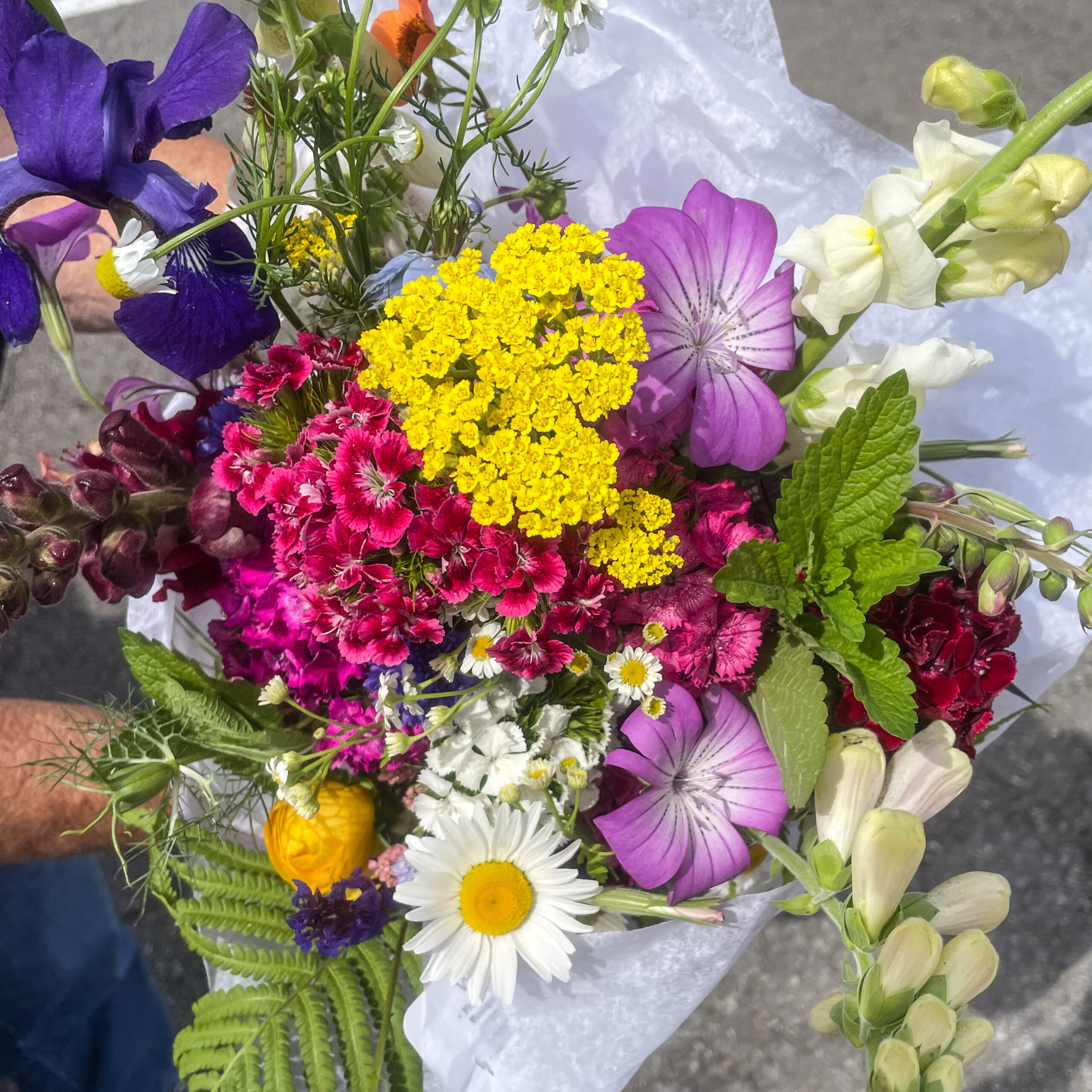 A beautiful bouquet of flowers