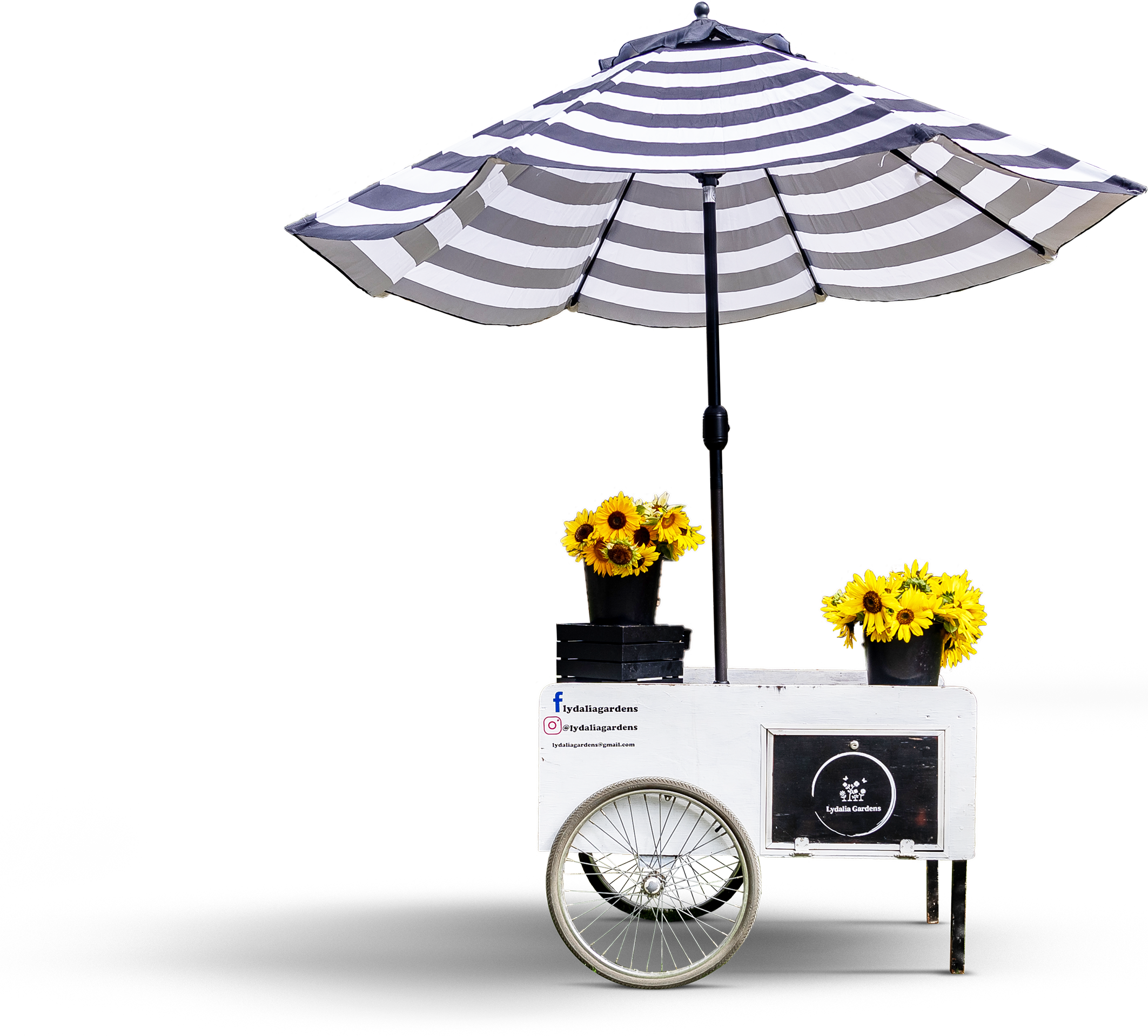 A black and white cart with an umbrella and bright yellow flowers.
