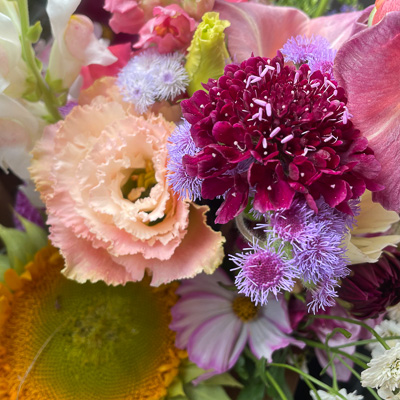 Buckets of Blooms
