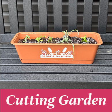 Mother's Day flower cutting garden box